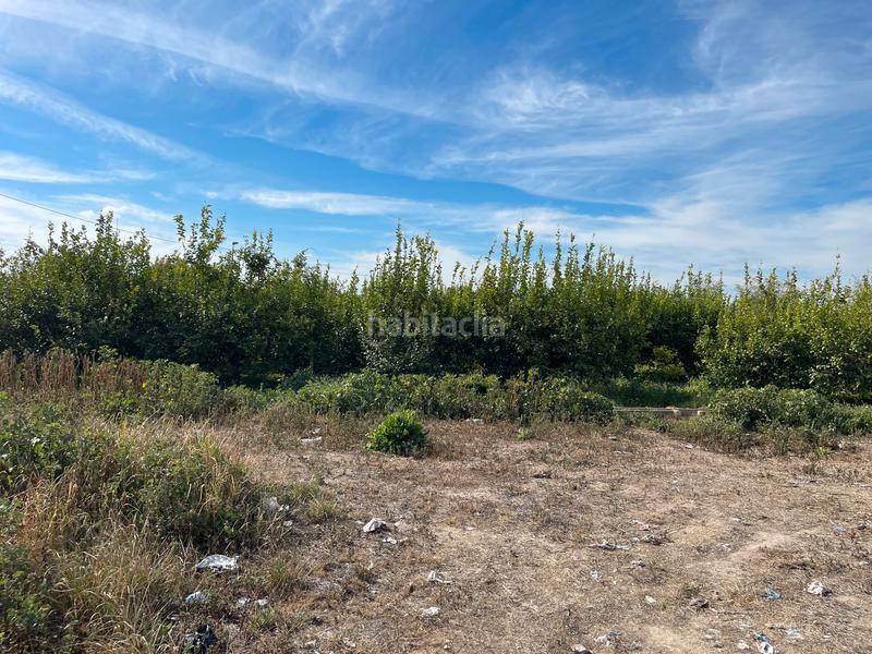 Foto 82f125c3-091e-48b5-be9b-40a8c444b351. Fondo rustico in n/a in Javalí Viejo Murcia