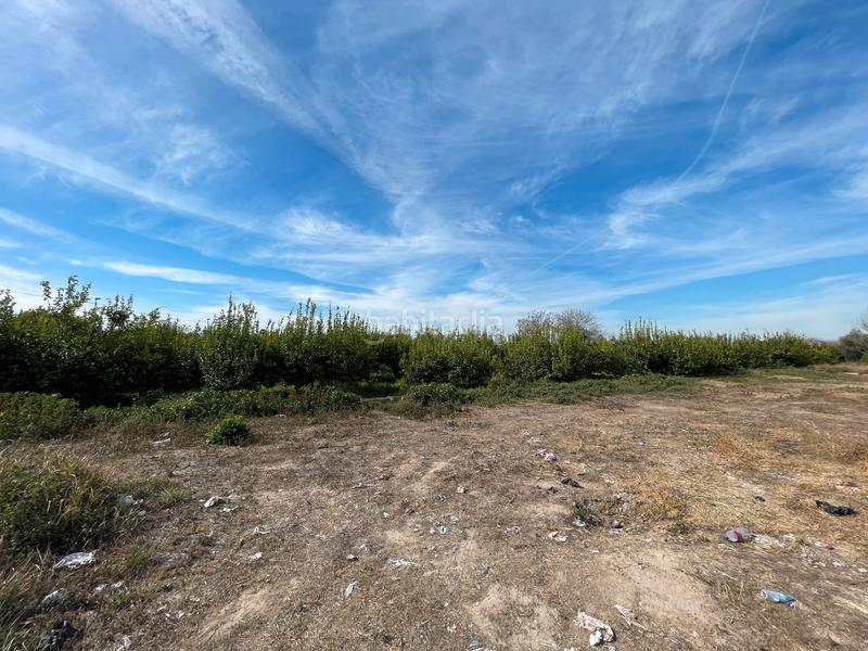 Foto f4774bf8-5b9e-44e5-8b78-1b5eebf0ac90. Fondo rustico in n/a in Javalí Viejo Murcia