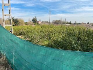 Rural plot in N/a