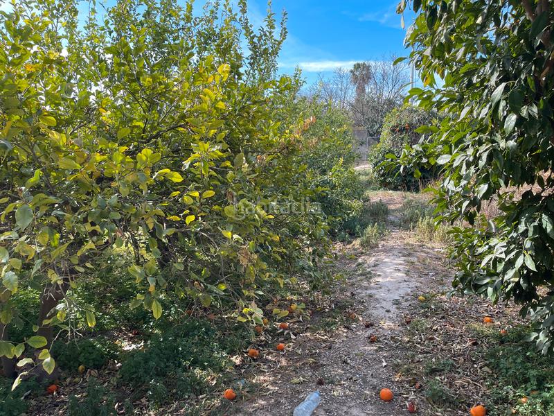 Foto 1442d253-b2f2-4e00-a410-f414118e0e20. Finca rústica en n/a en Javalí Viejo Murcia