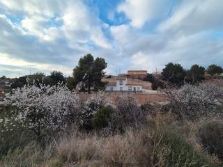 Xalet a Aledo