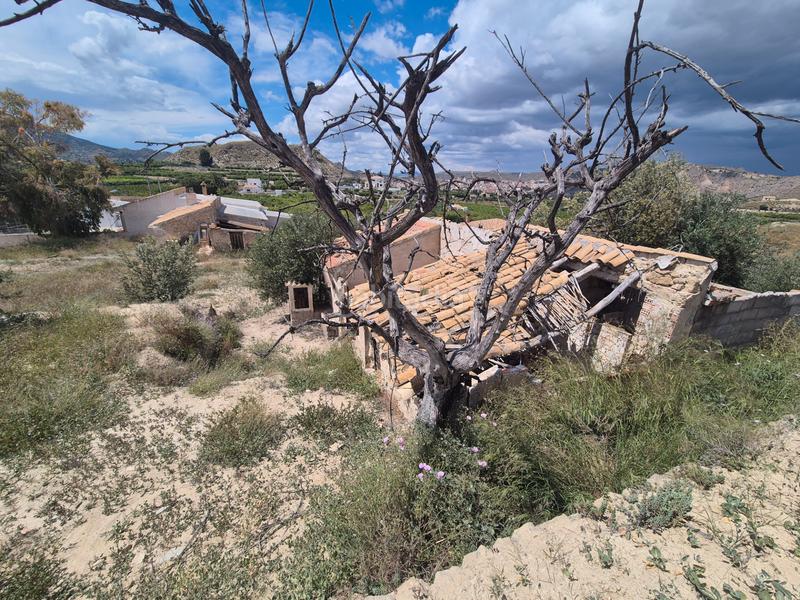 Foto 9211320f-6326-4566-966d-829d0f5436cd. Masia a Abarán