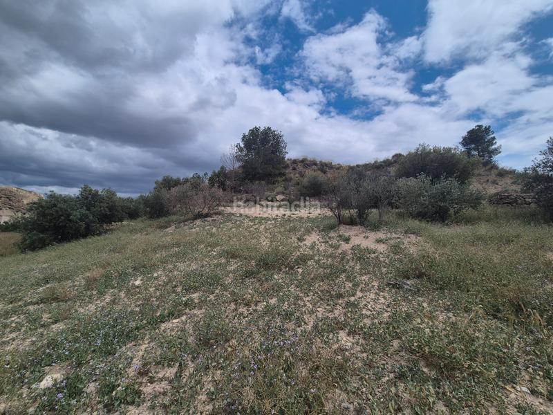 Foto f88ba364-fc68-4e94-8ca4-8bbb82fd2c7c. Masia a Abarán