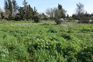 Wohngrundstck en El Juncal - Vallealto. Parcela segregada con 2005 m2 en la zona de el barranco, el puer