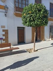 Location Bureau à Centro. Pequeño local en calle cruz verde, puerto real.