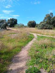 Residential Plot in Calle de madrid 20. Espectacular terreno en chapineria