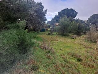 Terreny residencial a Calle de la retama 19. Espectacualar parcela en boadilla del monte