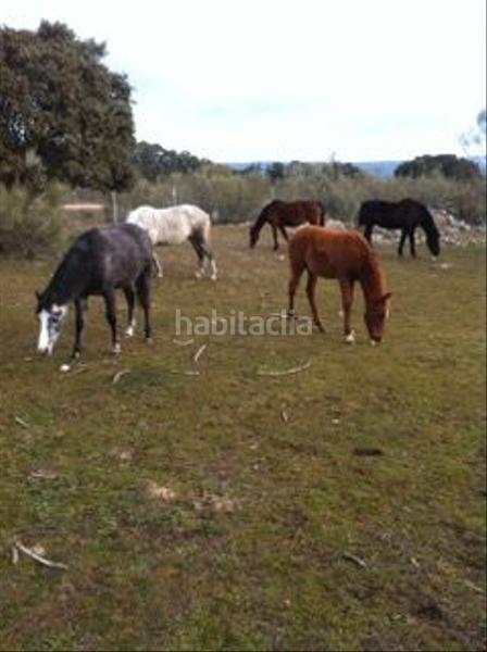 Foto 11d6ac36-efd9-4fa3-a7c2-4ce0e2f3c2cd. Finca rústica a avenida de chapinería 2 a Colmenar del Arroyo