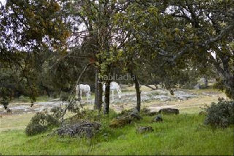 Foto 2b4a434b-ed3e-4215-a7c1-39eefbc0b506. Finca rústica a avenida de chapinería 2 a Colmenar del Arroyo