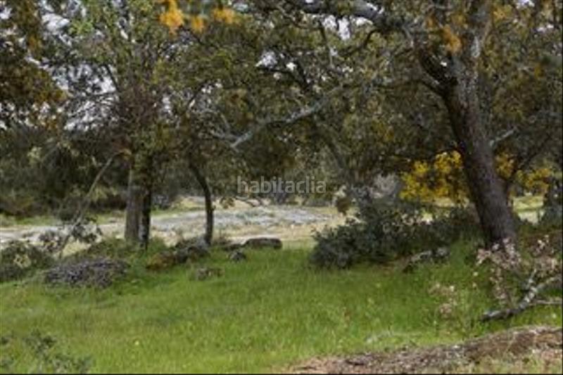 Foto 39e5b6f2-ee7b-4201-8809-e8e5f68a0445. Finca rústica a avenida de chapinería 2 a Colmenar del Arroyo