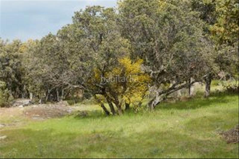 Foto 49854276-0d3f-49ea-83d3-8559f672e889. Finca rústica a avenida de chapinería 2 a Colmenar del Arroyo