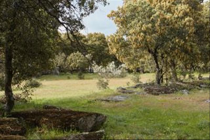 Foto 6fa0982c-273d-4fe2-9be8-b6c5bfc452b5. Finca rústica a avenida de chapinería 2 a Colmenar del Arroyo