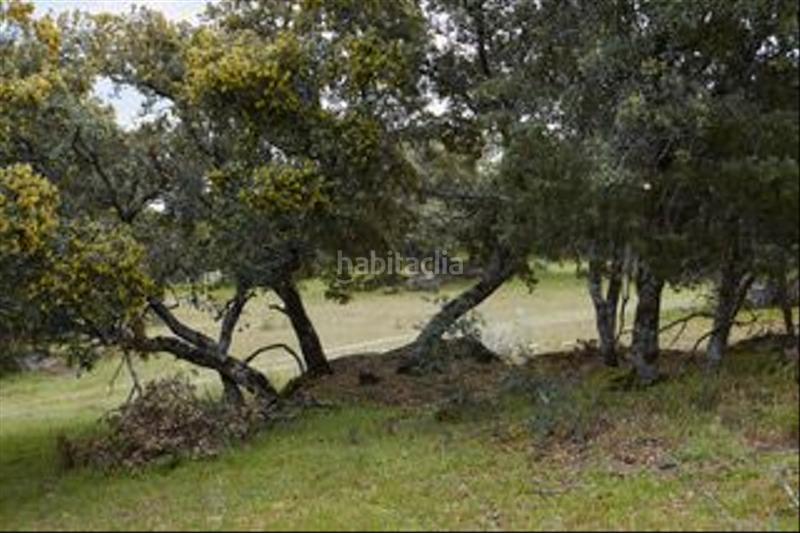 Foto 74da60b8-fcf7-4f1b-ac72-39f68ab6afc0. Finca rústica a avenida de chapinería 2 a Colmenar del Arroyo