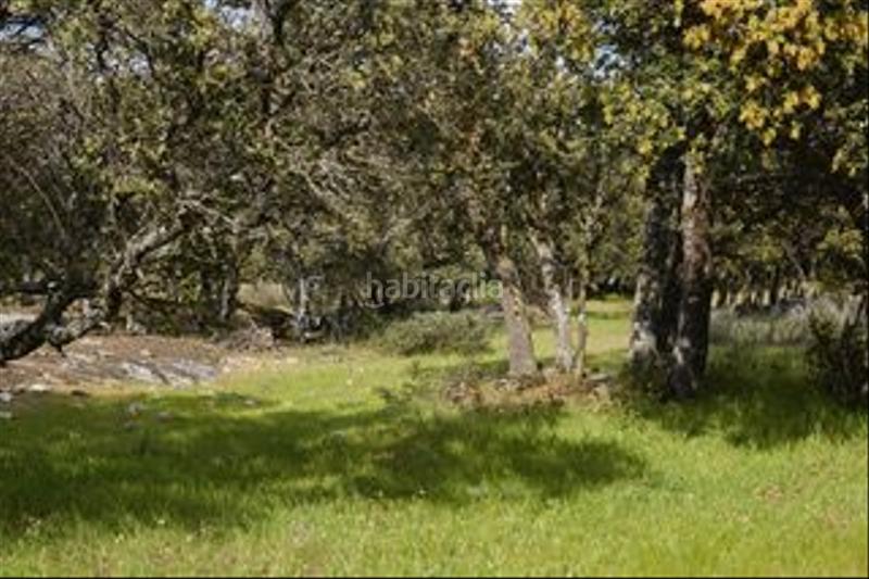 Foto 79806835-5223-4966-b01e-6941d2342f94. Finca rústica a avenida de chapinería 2 a Colmenar del Arroyo