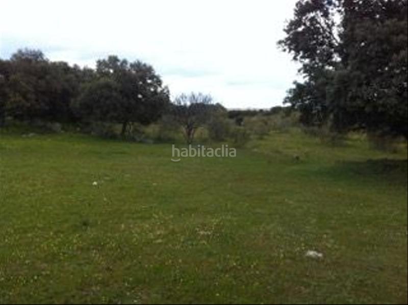 Foto 8b2218b4-e677-4f4c-b2cf-658d455f5c6a. Finca rústica a avenida de chapinería 2 a Colmenar del Arroyo