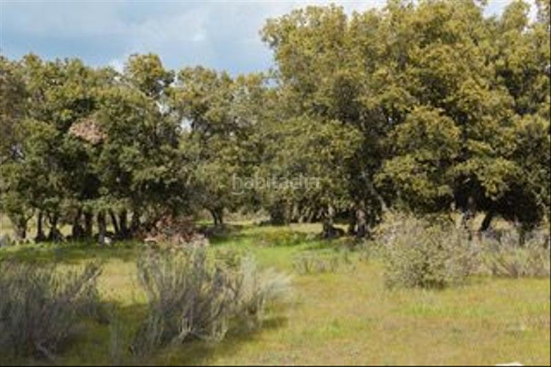 Foto 926f6cf5-fb55-4dfc-8dc1-f8399197dd8e. Finca rústica a avenida de chapinería 2 a Colmenar del Arroyo