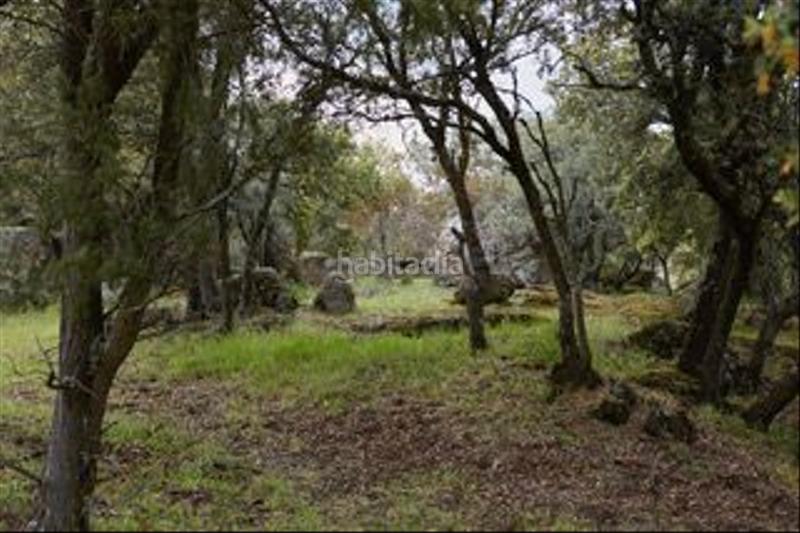 Foto a74bf7e6-7254-4ce0-ac2e-bc5d5c929e15. Finca rústica a avenida de chapinería 2 a Colmenar del Arroyo