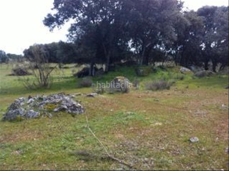 Foto ac709df2-3f21-4fc8-9fb2-9559b92b591c. Finca rústica a avenida de chapinería 2 a Colmenar del Arroyo