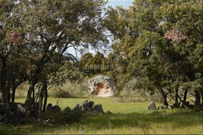 Foto da60c8d8-56ce-47b3-b106-bd6cc2cc8787. Finca rústica a avenida de chapinería 2 a Colmenar del Arroyo