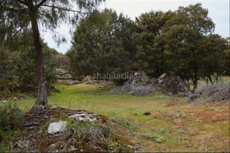 Foto f724e59f-c31c-4c0c-9020-3f8418cd9653. Finca rústica a avenida de chapinería 2 a Colmenar del Arroyo