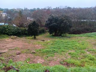 Residential Plot in Calle faisán 4. Fantastico terreno en venta en colmenarejo