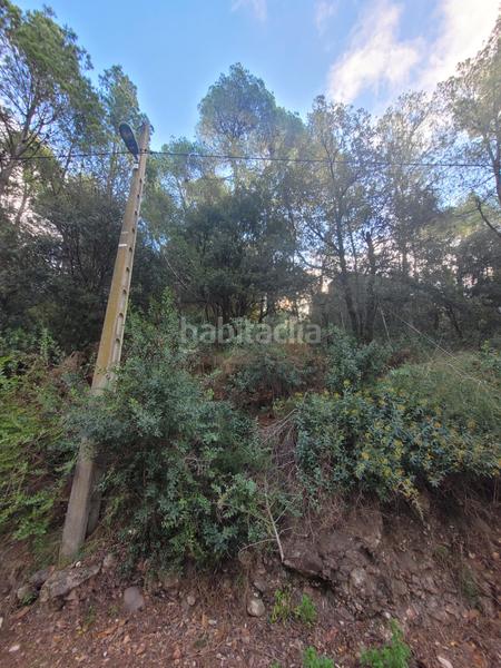 Foto 030a54be-947d-47b8-b699-be13eb5460db. Terreny residencial a carrer camí del moliner 55 a Matadepera