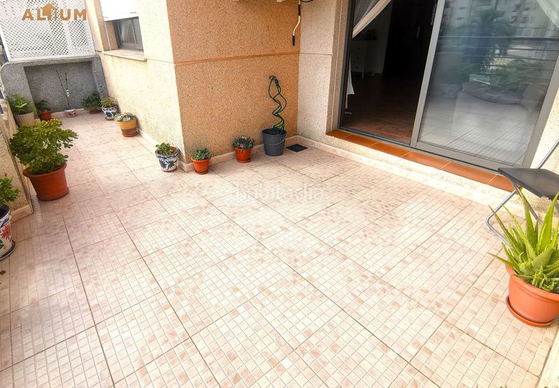 Foto 5ddc31e0-faac-4f59-82cc-ecde068f3cb7. Pis a Norte - Blanca Paloma Rota