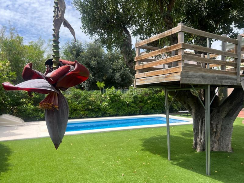 Foto 0c300d4a-3399-45de-a2e3-c77284302eca. Casa amplio chalet pareado con piscina privada en la almajada a pocos minutos de la playa san juan. en Mutxamel