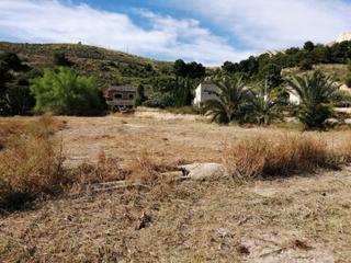 Finca rústica  Musico josep serrano. Gran parcela rústica en las paulinas, mutxamel.