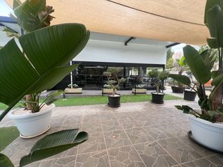 Local Comercial a HOLANDA