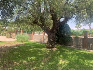 Casa  Migjorn. Acogedor chalet independiente con piscina privada