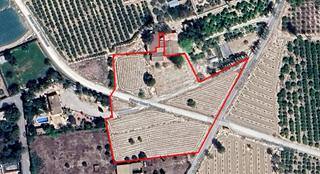 Masia a La Algoda - Matola - Llano de San José. Casa de campo con terreno para reformar a tu gusto en algodamato