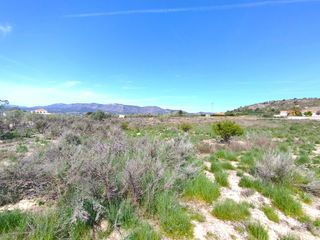 Rural plot in Salinas. Parcela rústica en sax.alicante