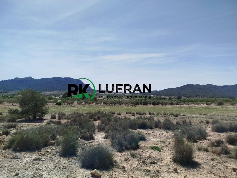 Foto f5de6ea4-1fa8-4b1f-aad6-c37ef952ce8d. Finca rústica a Salinas