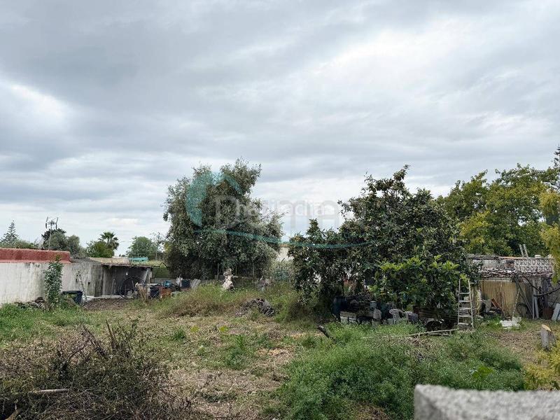 Foto 750dbff1-4a14-45d8-be95-7b2db05acdb6. Lloguer terreny residencial a San Pedro de Alcántara Pueblo Marbella