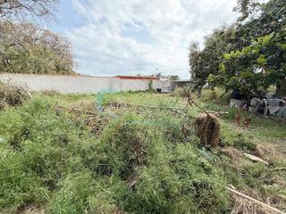 Location Terrain résidentiel à San Pedro de Alcántara Pueblo. Se alquila terreno industrial en san pedro alcántara  612 m  1.5