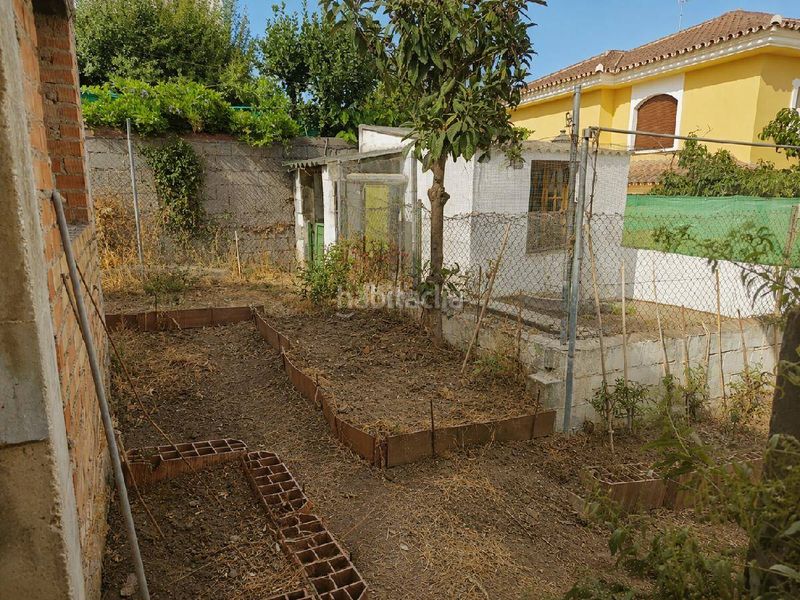 Foto 2379e075-8def-47f2-b361-8995b6947b5c. Terreny residencial a San Pedro de Alcántara Pueblo Marbella