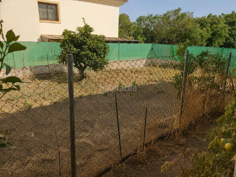 Foto e9656657-54e2-48c0-8dc3-5512bc1e9e48. Terreny residencial a San Pedro de Alcántara Pueblo Marbella