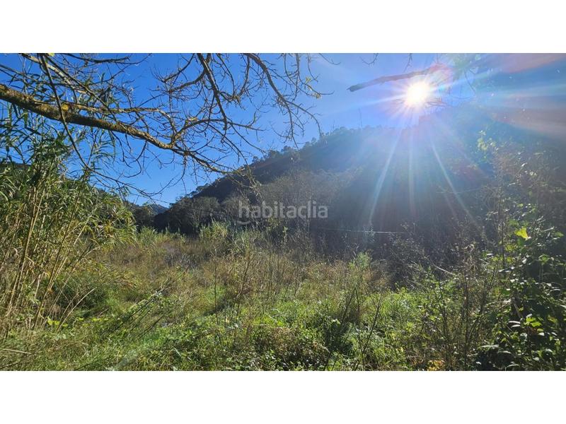 Foto 8c7b3235-c1f3-4286-a1dc-dcca4029697e. Casale in Niàgara Parc -Àgora Parc Tordera