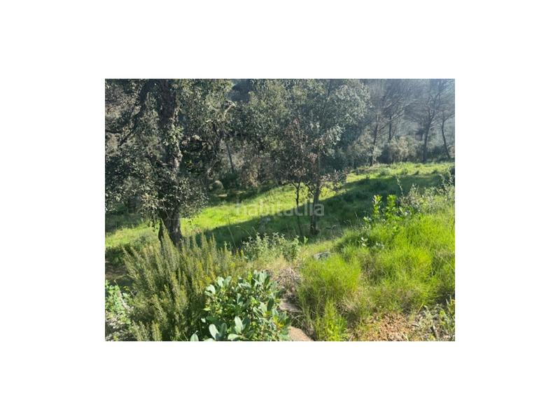 Foto 06c482db-8ef4-46d7-9287-50d84ee016f5. Terrain résidentiel dans Niàgara Parc -Àgora Parc Tordera