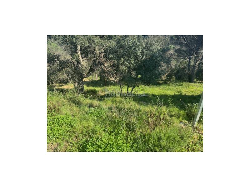 Foto 08d8bcb5-22b5-4def-9ea7-9b01347bcae3. Terrain résidentiel dans Niàgara Parc -Àgora Parc Tordera