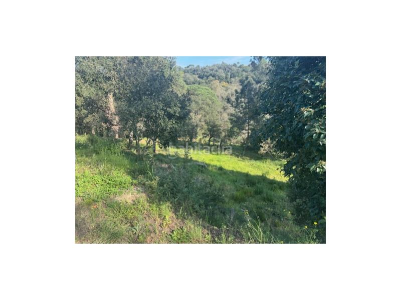 Foto 56eac623-34fc-4433-b558-a74ea1cf743a. Terrain résidentiel dans Niàgara Parc -Àgora Parc Tordera