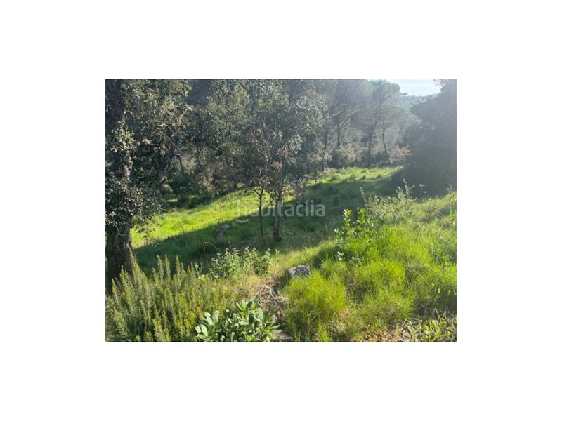 Foto 931d8a2d-2b38-4207-8694-9f683e8da34d. Terrain résidentiel dans Niàgara Parc -Àgora Parc Tordera