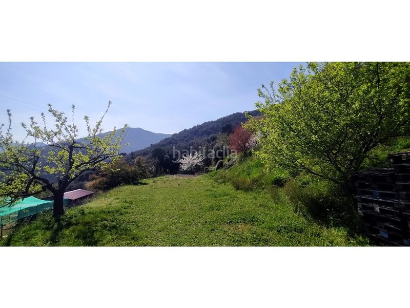 Foto 83d5ac05-eace-47ea-b400-d5086f29053f. Masia a Amer