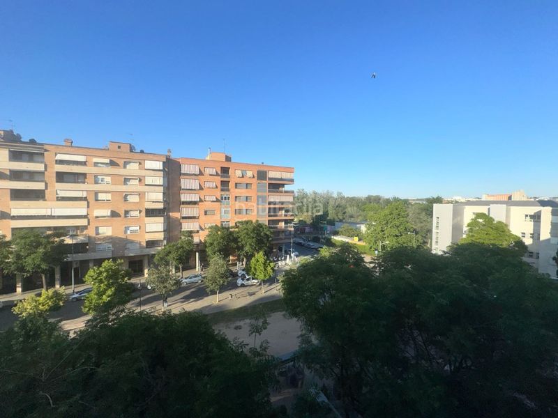 Foto 0e040d81-c1c4-4ee4-856f-1299e0193e94. Pis a Pardinyes Lleida