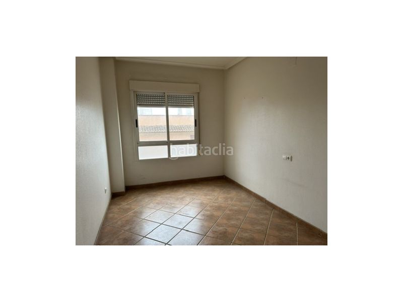 Foto 42ea8207-6411-4643-87aa-6c8e441c48fd. Pis a Almoradí