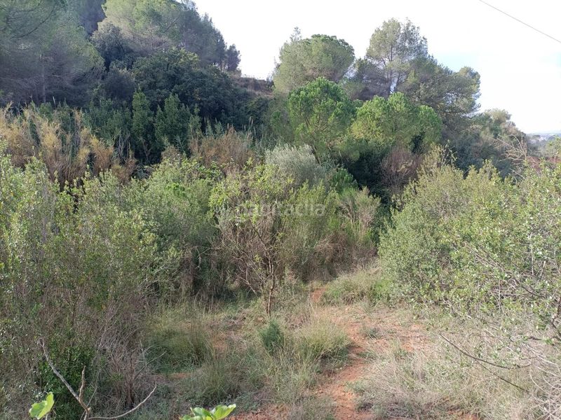 Foto 7cb689a8-abf6-4c88-bf03-7493e86dfc1f. Terreny residencial a Castellbisbal