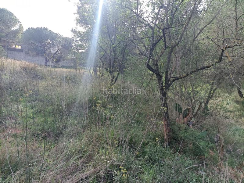 Foto 87f1583d-a91a-43ac-b72e-79474c3b1fb0. Terreny residencial a Castellbisbal