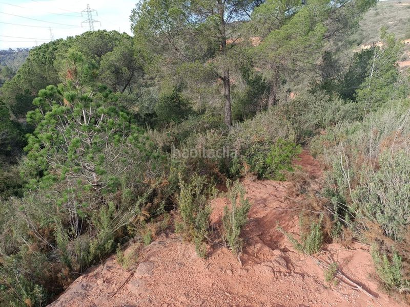 Foto d185b9ec-d422-40bf-a8b2-e20f36b5c1e1. Terreny residencial a Castellbisbal