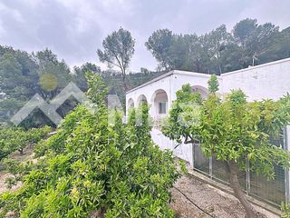 Masia a Pego. Encantadora casa de campo entre naranjos, con vistas impresionan